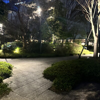 キャトルラパン - 