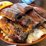 かも川 - 上うなぎ丼