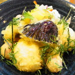 うどん工房悠々 - 鱧と夏野菜天の梅おろしぶっかけあっぷ