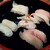 廻転寿司 海鮮 - 地魚ランチ