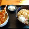 うどんの青山 - 料理写真:ミニ天丼冷やしセット
