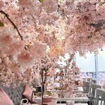 HAUTE COUTURE・CAFE - 