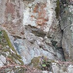 須崎食料品店 - 