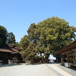 須崎食料品店 - 