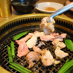 誠平鳥 - メイン写真: