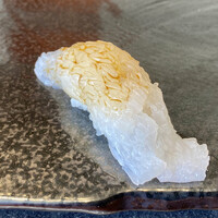 すし大 - 京都舞鶴泥障烏賊