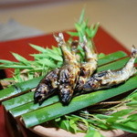 虎屋 壺中庵 - 安田川の鮎