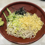 Hakone Soba Honjin - 冷したぬきそば ¥570-