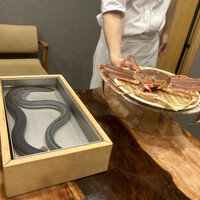 三宅輝 - 