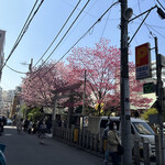 Teppanyaki Kuwachan - 蔵前神社の桜！凄い人！！！！！
