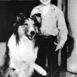 Porukone - 名犬ラッシー～本家アメリカでは昭和29年(1954)から昭和49年(1974)までの20年に渡って放送が続いた長寿ドラマ