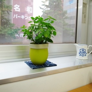 シャーレオオマチ_2