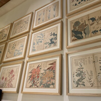 中国料理 礼華 四君子草 - 