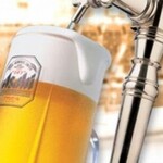 博多餃子舎 603 - 