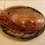 赤坂 詠月 - お造りの海老のお頭を避けておき