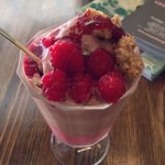 ジェラテリア アクオリーナ - 生ラズベリーとチョコ（780円）