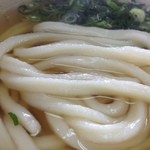 手打ちうどんめんこい - かけうどん ズーム