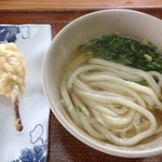 手打ちうどんめんこい - かけうどん＆チューリップ天