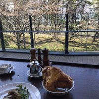 トラットリア グランボッカ - 