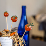 プレゼンテ スギ - 2023.3 定点（トマト飴、イシャナカセグサ）