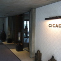 CICADA - 店舗入り口付近