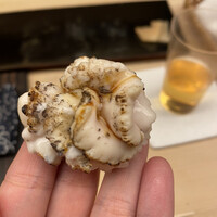 鮨 木場谷 - 