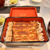 鰻 若松 - 