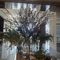 和田倉 -  和田倉 -