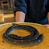炭焼鰻 寝床 福島店 - 