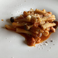 スミレオオサカ - 