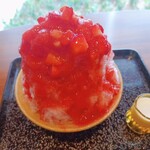 EMU SARYO - イチゴ