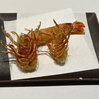 天冨良 よこ田 - 