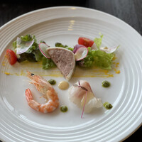 Mar Rosso - 
