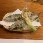 蔵吉家 - お通しの、メヒカリの、天ぷら。お塩で頂きました。