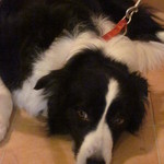 Mar - 所定位置から出てました