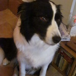 Mar - 今日もラブリー