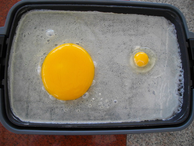 地球上で最大の卵 ダチョウの卵 で作る目玉焼きはインパクト大 By りす３ ダチョウ王国観光牧場 石岡ファーム 羽鳥 焼肉 食べログ