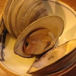 下町ウルフ - 白ハマグリ