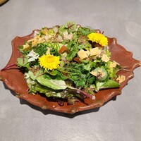 Conico - ランチサラダ