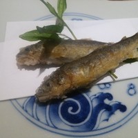 鮨　銀座　鰤門 - 