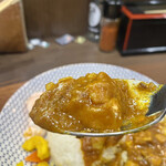 ヌードル＆スパイスカレー 今日の1番 - あいがけ(チキン)