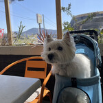 Montrose Diner 糸島 - 