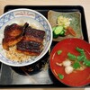 Unagi Mitsutama - 