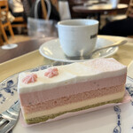 Dotoru Kohi Shoppu - 桜ケーキとブレンドSのセット（７００円）