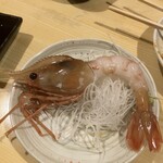 開陽亭 - 230306月　北海道　開陽亭 すすきの店　ボタン実食！