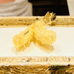 日本橋 蕎ノ字 - ☆メゴチ（静岡・駿河湾）