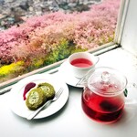 松田山ハーブガーデン　 - 