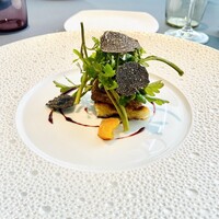 プレヴナンス - 