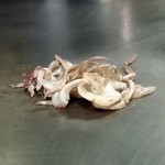 吉祥寺 じゅん粋 - イカゲソ