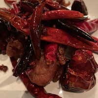 CINA New Modern Chinese - 